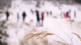View of the hill with people going up and down the slope in defocus. Rest, sleigh rides and tubing. Beautiful winter landscape with snow for background, transition and video screensaver. UHD 4K.