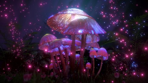 3D Psychedelic Magic Mushrooms Trippy Video For Your Background. A Fairy Magical Forest. Perfect for Vj Loops and your Projects