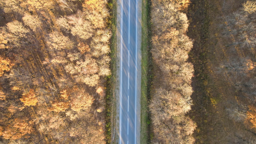 Aerial view of intercity road with fast driving cars between autumn forest trees at sunset. Top view from drone of highway traffic in evening