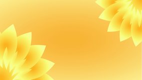Looping Animation of Sun Flower Background. Suitable to place on beauty content.