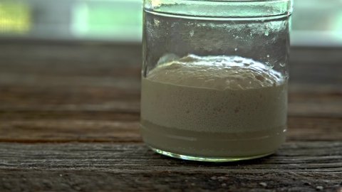 Time lapse from yeast grooving up for baking