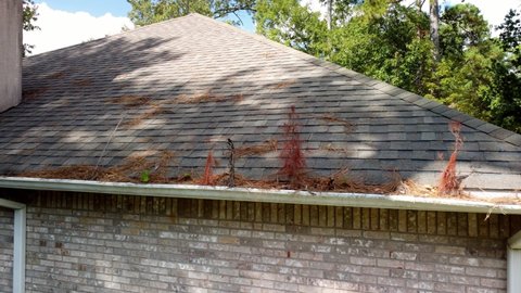Camera moves to show damaged roof, shingles and gutters