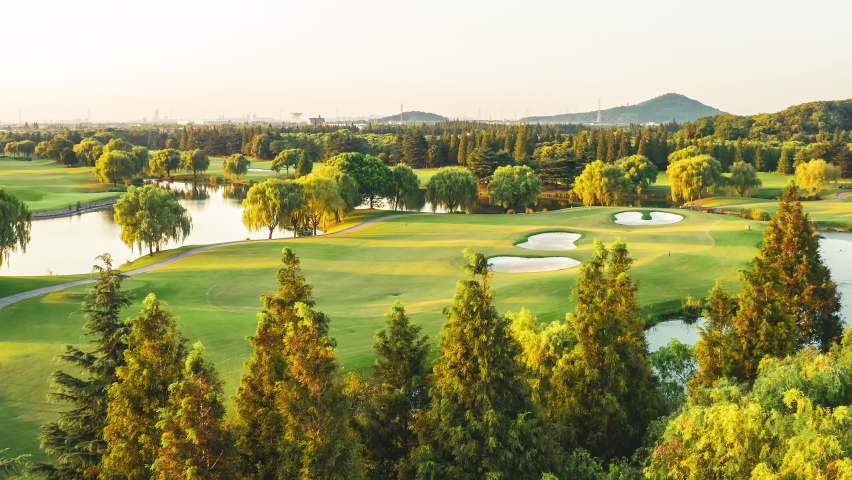 Aerial view of a green golf course.Green grass and trees with white sand trap.Drone shot over trees.