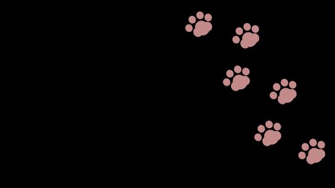 Animation of a cat's hand scratching transparent with an alpha channel