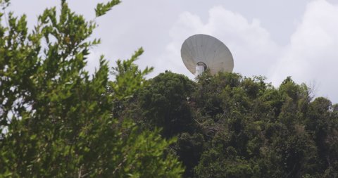 Satellite Dish In The Midst Of Green Trees At Arecibo Observatory In Puerto Rico. low angle