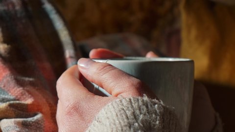 Close up of a woman hand holding a steamy herbal tea mug in a cosy interior environment with tartan plaid