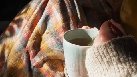 Top view of a woman hand holding a steamy herbal tea mug in a cosy interior environment with tartan plaid