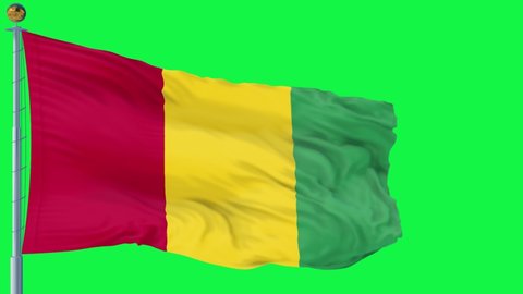 Guinea flag is waving 3D animation. guinea  flag waving in the wind. National flag of guinea. flag seamless loop animation. high quality 4K resolution
