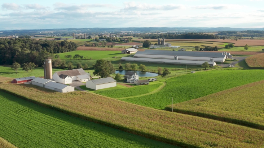 Aerial orbit or American family farm. Establishing shot of agriculture fields, barn buildings, silos during summer in USA. Beautiful scenic view. Royalty-Free Stock Footage #1082085089