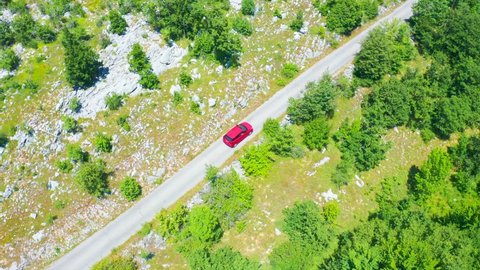 Aerial view from above of country road with red car through the green summer forest in summe.