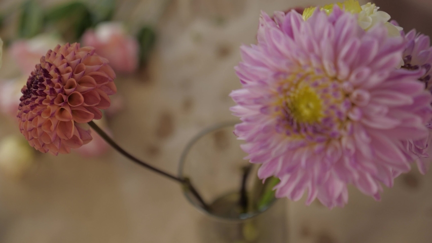 florist woman picks up a flower. chrysanthemums, dahlias in a vase in a flower shop Royalty-Free Stock Footage #1082088326