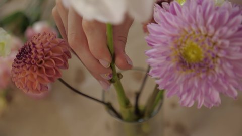 florist woman picks up a flower. chrysanthemums, dahlias in a vase in a flower shop