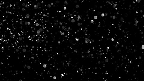 Natural Organic Dust Particles Floating On Black Background. Dynamic Dust Particles Randomly Float In Space. Shimmering Glittering Dust Particles With Bokeh. Slow motion on Black Background.
