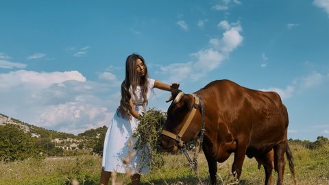 A beautiful girl with long hair in a white dress, feeds and pet a brown cow. Milk advertisement, farmer, feeding a cow. Green grass, blue sky, valley, green field. Cows, farm, agriculture. 