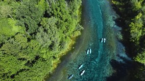 Aerial view of a group of young people in swimsuits on paddles. Rowing in fresh blue water. Commercial tourist tour along the rivers and lakes of the protected area in hot summer. Drone footage