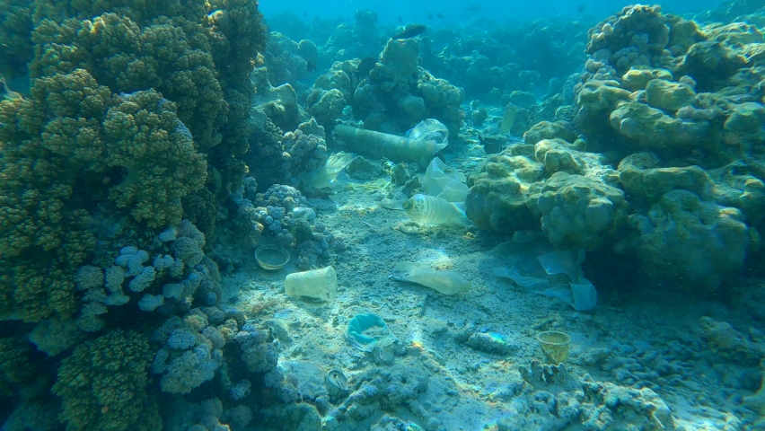 Beautiful coral reef covered with plastic and other garbage, colorful tropical fish swims over this debris. Plastic pollution of the Ocean. Camera slowly moving forward above seabed with plastic trash | Shutterstock HD Video #1082103347