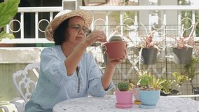 Asian elderly woman stay at home sitting at a white table holding a cactus plant pot She keeps the trees beautiful and strong. The concept of retirement living for seniors - Powered by Shutterstock - Get 15% off with code: PIKWIZARD15