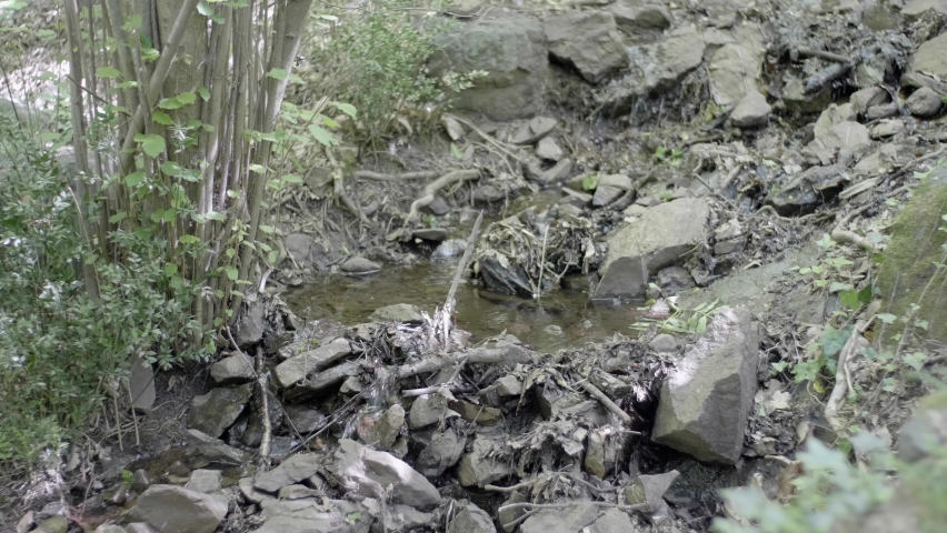 Small stream in the woods. Original audio. Real Time 4K