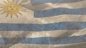 Animation of flag of uruguay blowing over field of wheat. patriotism, independence and agriculture concept digitally generated video.