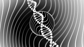 Animation of dna strand spinning over white lines and circles on grey background. science and research concept digitally generated video.