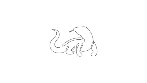 Animated self drawing of continuous line draw dangerous komodo dragon for company logo. Wild protected reptile animal mascot concept for conservation national park. Full length single line animation.