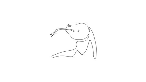 Animated self drawing of continuous line draw komodo dragon head for adventure organization logo. Wild protected animal mascot concept for conservation national park. Full length one line animation.