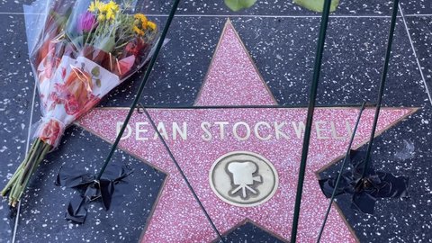Flowers are placed at the star of late actor Dean Stockwell on the Hollywood Walk of Fame, Tuesday, Nov. 9, 2021, in Los Angeles. 