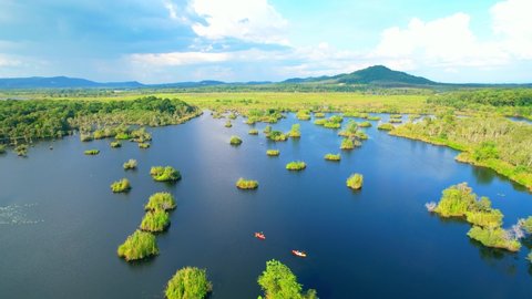 4K aerial view from a drone. wetlands with various trees represent the integrity of the forest. beautiful scenery of rayong Botanical Garden, Thailand
