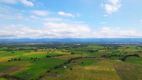 4K, A green rice field waving in the wind, Green rice plants growing. Nature Aerial footage. Aerial view of agriculture in rice fields for cultivation. Natural the texture for background