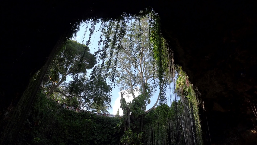 Bottom view of Ik_Kil cenote with hanging vines and roots. Tinum Municipality, Yucatan, Mexico Royalty-Free Stock Footage #1082145566