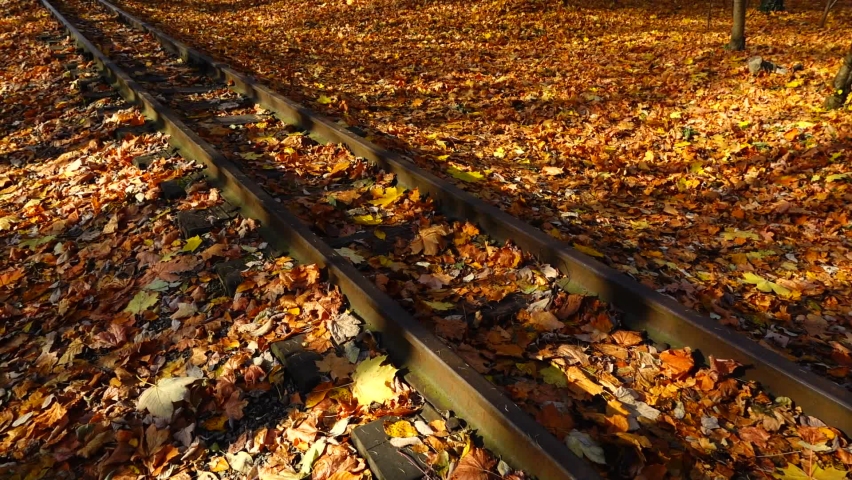 Narrow-gauge railway covered with autumn maple leaves. Railway road.