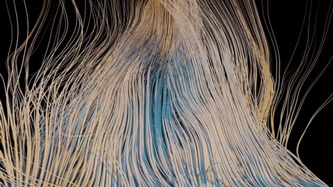 A simulation of hair results in an abstract composition that reminds us of the flows of nature. Perfectly lopped and seamless movement. Atmosphere and realistic lighting ideal for projection. 