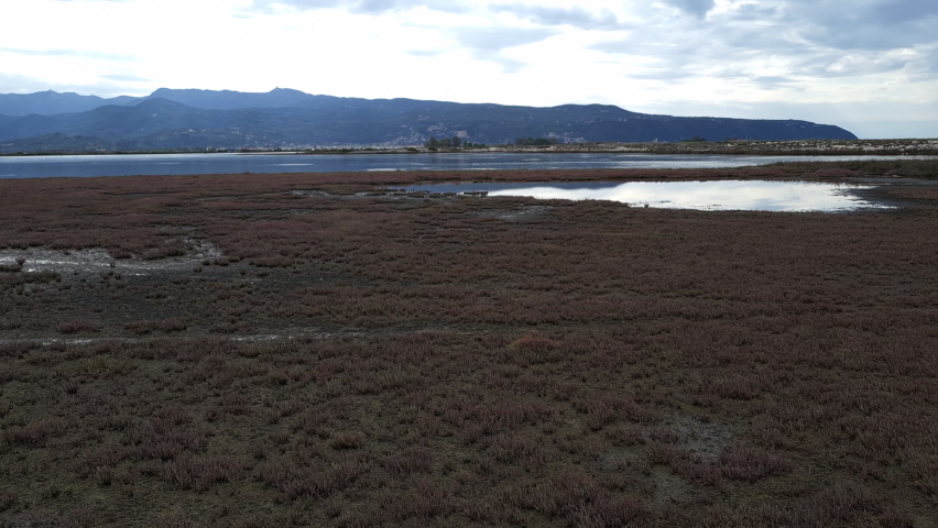 A salt marsh wet land forming a natural habitat for a variety of wildlife.