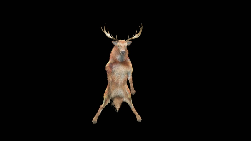 Deer Dancing, 3d rendering, Animation Loop, cartoon, included in the end of the clip with Alpha matte. Royalty-Free Stock Footage #1082159663