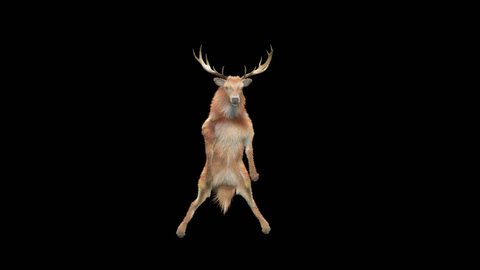 Deer Dancing, 3d rendering, Animation Loop, cartoon, included in the end of the clip with Alpha matte.