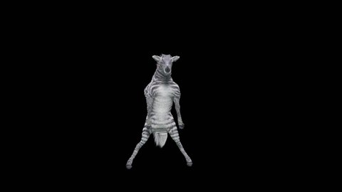 Zebra Dancing, 3d rendering, Animation Loop, cartoon, included in the end of the clip with Alpha matte.