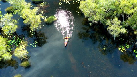 Aerial view of tourists, canoe or kayak in mangrove forests. Rayong Botanical Garden, tropical mangrove forest in a national park in Thailand. Holiday travel activities