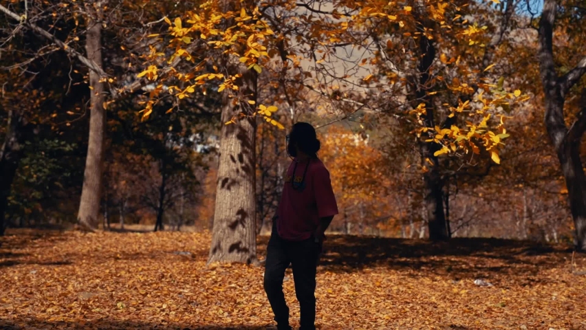 Young boy walking in the autumn forest 
