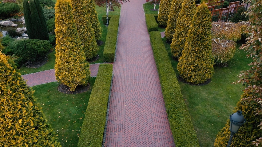 Topiary form of haircut plants in the park.