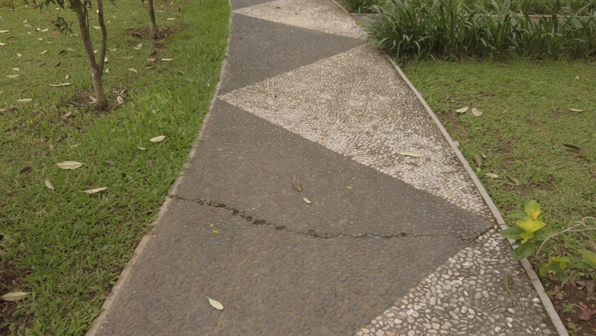 walking in the city park, with green plants and grass beside