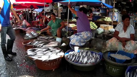 LAGUNA, PHILIPPINES - JULY 16, 2015: Bangus milkfish sold at street wet market due to lack of market facilities