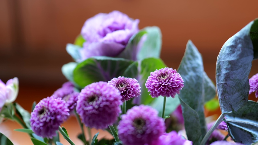 Purple flowers and green foliage