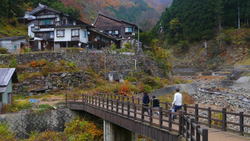 Snow Monkeys Japanese Macaques bathe in onsen hot springs of Nagano, Japan