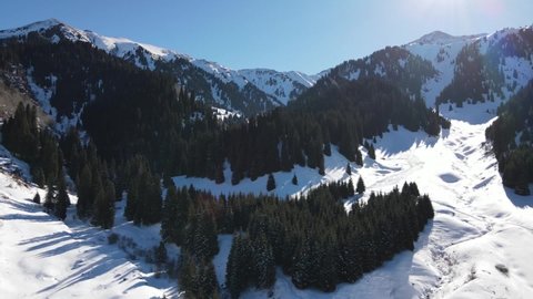 Almaty mountains. Sunny morning. The drone flies over the winter forest.