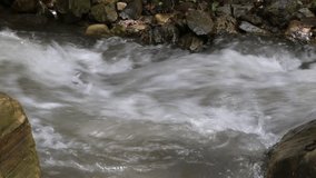 Video of a small mountain river. Water flows under high pressure around the green grass and gray rocks.