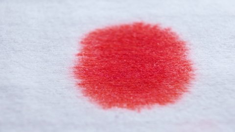 Red blood drops on a white bandage, paper or cloth-like surface. Splattering red color of blood, bloodstains reveal on white background. Shallow depth of field. 4k macro video.