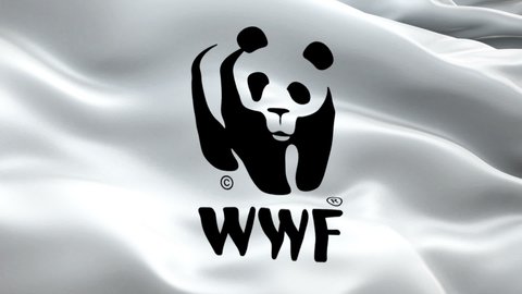 16 World Wide Fund For Nature Stock Video Footage - 4K and HD Video Clips | Shutterstock 16 World Wide Fund For Nature Stock Video Footage - 4K and HD Video Clips | Shutterstock
