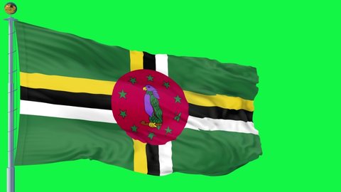 Dominica flag is waving 3D animation. Dominica  flag waving in the wind. National flag of dominica. flag seamless loop animation. 4K