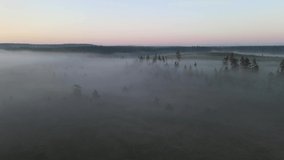 Sunrise in the Woods Drone Low Tree Top Fly Aerial View of a Foggy Morning Hills and Meadows