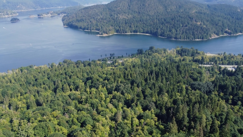 Mighty dense forest, close to the river, from a bird